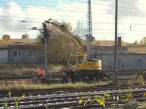 Während das Ausfahrsignal D gefallen ist,wurde,am 06.November 2017,das Neue Ausfahrsignal P1 in Bergen/Rügen aufgestellt.