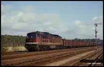 130071 kam am 19.10.1991 um 10.08 Uhr mit einem Güterzug in Richtung Magdeburg durch den Bahnhof Güsen.