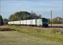 Bahn im Elsass. FRETchen 37046 f�hrt von M�lhausen Richtung Basel. Das fahle Licht con Saharasand und Portugalasche sorgt f�r einen satten Gelbstich. Bartenheim, Oktober 2017.