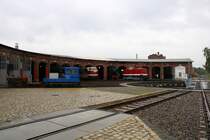 Bei absolut fotografenunfreundlichem Wetter konnte ich den Großteil der Fahrzeuge der Dampflokfreunde Salzwedel e.V. im Historischen Lokschuppen Wittenberge anlässlich der Herbstdampftage aufnehmen, die sich größtenteils unterstellten. [7.10.2017 | 14:26 Uhr]