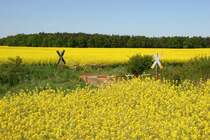 Bahn�bergang zwischen Bobzin und Wittenburg. Hier hat sich die Natur wieder breit gemacht. 05.05.2007