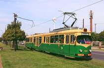 Łódź 1519, Ozorków Ulica Wyszyńskiego, 31.08.2017.
