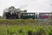 Das »Rheinbähne« (Museumsbahn des Museums Rhein-Schauen, zuvor Werksbahn der Internationalen Rheinregulierung IRR) fährt am rechten Rheindamm zurück nach Lustenau (2014-05-31). Im Einsatz ist Dampflok 200-90 »Maffei«.