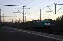 186 206 von Railtraxx steht in Herzogenrath. 
Aufgenommen am Bahnhof von Herzogenrath. 
In der Abendstimmung am Abend vom 6.11.2017.