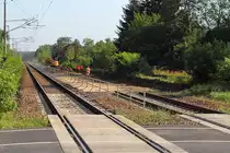 Eine neue Baustelle an der KBS 205, Streckenertüchtigung Berlin-Rostock, jetzt der Abschnitt Oranienburg- Nassenheide. 17.08.2017.
Nördlich des BÜ Sachsenhausen wird das alte Gleisbett abgetragen.

