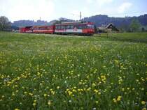 Zahnradstrecke Gais-Altst�tten, aufgenommen N�he Haltestelle Kreuzstrasse, am 04.05.06