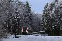 Von draust vom Walde komm ich her ,.......

Im Winterwunderland vom 9.Dezember 2017 
