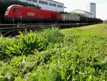 2016 063-7 mit Rübenzug-75829 bei Ried i.I.; 170929