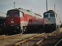 Zwei Ludmillas der ITL W 232.03 und W232.04 stehen im Dresdner-Alberthafen und warten auf neue Eins�tze.24.09.06