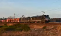 Bei bestem Herbstwetter diese zwei Vectrons (193 605-9 und 193 860-4) der MRCE, unterwegs in Richtung Hagenower Land. 18.12.2017, 3km östlich von Büchen.
