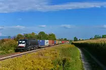 182 569 mit einem Containerzug am 26.09.2017 bei Langenisarhofen. 
