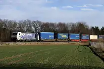 Zebra  186-440 aus Richtung Salzburg bei Eglharting  am 9.1.18