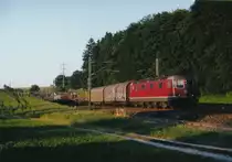 SBB: BLEIBEN DIE PROTOTYPEN Re 6/6 11601  WOLHUSEN  UND Re 6/6  MORGES  TATSÄCHLICH GESCHICHTE UND DER NACHWELT NUR ANHAND VON FOTOS ERHALTEN ?

Güterzug mit der Re 6/6 11602  MORGES  an einem späten Nachmittag im August 1998 zwischen Niederbipp und Wangen an der Aare in Richtung Westschweiz unterwegs.

Bestellt wurden die beiden Lokomotiven, die wesentliche Konstruktionsprinzipien aufwiesen Ende 1969. Gebaut wurden sie von SLM BBC. Die Inbetriebnahme für den Personen- und Güterverkehr erfolgte im Jahre 1972. 

Die zwei Prototypen mit geteiltem Kasten rosten in Bellinzona bereits seit einigen Jahren vor sich hin. Ihr Zurstand wird schlechter und schlechter. Ist das der Anfang vom Ende der Ära dieser Raritäten? Hoffentlich nicht!

Trotz dem unermüdlichen Einsatz für die Rettung dieser historisch sehr wertvollen Loks des Bannwiler Re 6/6 - Spezialisten Andreas Bögli, siehe Sonderartikel der BERNER ZEITUNG vom 19. März 2016, soll es für einen Erhalt zum jetzigen Zeitpunkt sehr düster aussehen. Da auch der Erhalt nicht einmal als Denkmallokomotive nach einer Pinselrevision eine Chance hat, kann leider eine baldige Verschrottung nicht mehr verhindert werden. Schade...
Foto: Walter Ruetsch   
