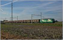 Der nach Reverolle (via Apples) fahrende leere Zuckerrübenzug mit der BAM MBC Ge 4/4 21 wartet in Chigny einen Gegenzug ab.
17. Okt. 2017