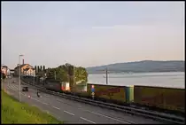 Der Nothegger-Zug, welcher aus Wels (Österreich) über die Walensee-Linie nach Dietikon und retour geht, verkehrte seit 2015 fast zwei Jahre lang als Zug mit Lademassüberschreitung. Dies führte viele betriebliche Einschränkungen mit sich, wobei der Zug auf mehreren Streckenabschnitten und Bahnhöfen nur ein bestimmtes Gleis mit massiv reduzierter Geschwindigkeit benutzen durfte. Als Beispiel sei der Bahnhof Wädenswil erwähnt, in welchem nur Gleis 1 (normalerweise SOB) und Gleis 4 (Überholgleis) befahren werden durften. Seit einigen Monaten sind diese Einschränkungen jedoch teilweise verschwunden. Am 30.08.2017 fährt frühmorgens die Re 620 058-8 (11658) mit dem Nothegger-Zug soeben an der Ortstafel Wädenswil vorüber. 