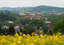 Blick ins Saaletal und das Spitzbogenviadukt bei Hof Unterkotzau am 25.05.2016. Ein RE 3 mit Dosto und 143er Ellok passiert grade die Brücke. Das Wetter war suboptimal, aber das störte den Raps (oder ist das Senf-Saat?) am Wegesrand nicht...