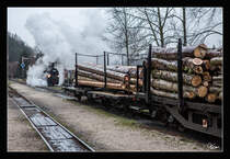 498.04 bei Verschubfahrten im Bahnhof Grünburg.
4.1.2018