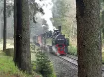 Am 06.08. 2017 war die Rangiererei in Schierke zur Hälfte erledigt, 99 5902 und 99 5901 warten entspannt im Wald auf die Ausfahrt des Planzuges, um dann in Gleis 1 einzufahren. 