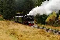 Nachdem die Fotografen den IG HSB-Sonderzug verlassen haben, drückt 99 6001 am 22.10.2016 denselben für eine weitere Scheinanfahrt, hier am Kilometer 25,4 zwischen Benneckenstein und Tiefenbachmühle, wieder ein Stück zurück.