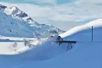 RhB Dampfschneeschleuderfahrten am Berninapass   
Nachdem nochmals überraschend die RhB Xrotd Nr. 9213 und das Bernina Krokodil Ge 4/4 Nr. 182 auf der  Strecke Ospizio Bernina - Alp Grüm auftauchte, konnte ich den Zug auf der  Westernbrücke  festhalten. Die Dampfschneeschleuder führte das Bernina Krokodil nur bis zur Brücke, als die Xrotd Nr. 9213 gerade in den Bergschatten einfährt. 

Sonntag, 28. Januar 2018