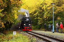 Als am 22.10.2016 99 7243 mit P8965 (Gernrode-Hasselfelde) im Haltepunkt Friedrichshöhe einläuft, wartet bereits das  fotografische Empfangskomitee , gebildet aus Fahrgästen des bereits im Haltepunkt befindlichen IG HSB-Sonderzuges.