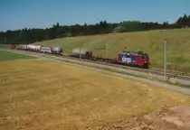 SBB: Güterzugsversuchsfahrten auf der Neubaustrecke(NBS).
Mit einem Güterzug bestehend aus zwei Re 4/4 II an beiden Enden und speziell ausgewählten Güterwagen wurden auf der NBS am 11. Juni 2006 verschiedene Testfahrten durchgeführt.
Diese Aufnahme des Testzuges entstand im Raume Koppigen auf der Neubaustrecke, wo oft und vor allem während der Nacht jeden Tag mehrere Güterzüge verkehren.
Foto: Walter Ruetsch