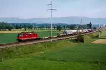 SBB: Güterzugsversuchsfahrten auf der Neubaustrecke(NBS).
Mit einem Güterzug bestehend aus zwei Re 4/4 II an beiden Enden und speziell ausgewählten Güterwagen wurden auf der NBS am 11. Juni 2006 verschiedene Testfahrten durchgeführt.
Diese Aufnahme der Überfuhr entstand auf der alten Stammstrecke bei Bollodingen.
Eine spezielle Beachtung gilt den beiden gesenkten Pantographen der roten nicht erkennbaren Re 4/4 II. Bei dieser Aufnahme erleben wir sie in der Rolle eines Steuerwagens.
Foto: Walter Ruetsch