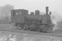 Werkslokomotive Nr. 2 der Zuckerfabrik Warburg am 20. Oktober 1975.