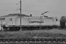  Sir Reiner  von Captrain wartet bei feinstem Aprilwetter auf die Weiterfahrt. (Dresden, April 2017)