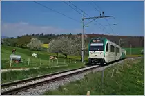 Durch die schon fast verblühte Frühlingslandschaft fahrend, erreicht ein BAM MBC Regionalzug von L'Isle kommend, in Kürze sein Ziel Apples.
11. April 2017