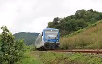 Zwischen Reil und Kövenig entstand am 19. September 2017.
Es zeigt die beiden Rhenus Veniro-VTs  650 131  Lily  (führend) und 650 132 Frida.
Das Doppel war als RB 85 von Traben-Trarbach nach Bullay (DB) unterwegs.