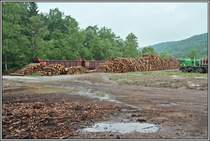 Nach dem Orkan Kyrill lie� der M�rkische Kreis am G�terbahnhof Br�gge (Westf) einen gro�en Holz-Umschlagplatz errichten. Aufgenommen am Morgen des 26.05.2007