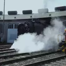 RINGLOKSCHUPPEN SIEGEN MIT DAMPFLOK 50 3501(EF TREYSA)
Am 25.3.2018 rollt Güterzug-Dampflok 50 3501 der EF TREYSA nach ihrer Jubiläumsfahrt
über die Strecke der HELLERTALBAHN nach SIEGEN nachmittags nach erfolgter Wartung
mit schönem Fotodampf heraus aus dem Lokschuppen zur Drehscheibe,
um sich wieder vor die Waggons des Sonderzuges zu setzen....