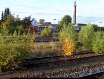 Im Einklang mit der Natur...
Manche Gleise im Bahnhof Eichenberg sind mittlerweile ungenutzt und präsentieren sich in einem bewachsenen Zustand. [23.10.2016]