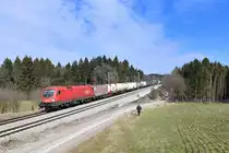 1116 275 mit DGS 41820 am 22.03.2018 bei Grabenstätt. 