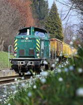 Die Frühlingsknoten Blumen erfreuen sich an dem etwas feuchten Wetter. 
Die Kombination mit etwas Sonnenschein lässt die Frühlingsboten in Massen erblühen . 

28.03.2018 bei Deutschlandsberg 
