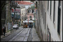 Begegnung der Triebwagen der Standseilbahn in der Taberna da Gloria am 19.3.2018 in Lissabon.