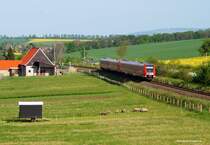 Am 10.04.2014 wollte ich eigentlich das Großschwabhausener Stellwerk fotografieren, von dem ich irgendwo ein Bild gesehen hatte. Das Motiv ist aber nicht mehr schön und so blieb ich bei dem Blick bei Kleinschwabhausen hängen. Von der Umgehungsstraße hat man diesen Blick, ein 612er Doppel passiert gleich die Schafe auf der Weide. Hinten geht der Blick bis zum weit sichtbaren Turm an der Gedenkstätte für das KZ Buchenwald .....