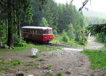 Nun machte die dunkle Wolke das wahr, was sie die ganze zeit vorhatte, am Bahnübergang Alte Bobbahn konnte sie ihr Wasser nicht mehr halten.Aber erprobt in verschiedenen Wetterlagen wurde trotzdem abgedrückt!