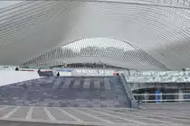 LIÈGE/LÜTTICH (Wallonie/Provinz Liège), 11.01.2018, Blick auf die Dachkonstruktion des Bahnhofs Liège-Guillemins
