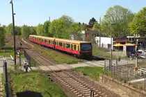 Eine S-Bahn der BR 481-482 auf der Linie S 5 von Berlin Ostbahnhof nach Fredersdorf erreicht am 21.04.2018 den Bahnhof Berlin-Biesdorf.