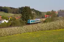 223 066 zieht ihre Alex den Hoyer Berg hinab gen Lindau. 21.4.18