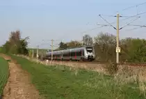 Hamsterbacke.
Wo gibt es sie nicht? In den meisten Regionen Deutschlands sind E-Talente zu sehen. Auch Abellio Mitteldeutschland besitzt einige Züge dieses Typs und setzt sie unter anderem auf der RB20 (Halle - Weißenfels - Weimar - Erfurt - Gotha - Eisenach) ein. 

Ingersleben, 19. April 2018
