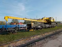 Ein Samms mit einer Ramme,am 29.April 2018,in Bergen/Rügen.