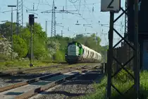 Tele auf die 4185 015-9 die in Lintorf durchfährt auf ihrem Weg an den linken Niederrhein, zu einem der Kraftwerke des rheinischen Braunkohlereviers.
Der Kalk in den Wagen ist für die Rauchgasentschwefelung gedacht und so mit dient der Zug im doppelten Sinn dem Umweltschutz. Lintorf 5.5.2018