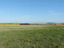 IGE Werrabahn-Eisenach 41 1144-9 mit dem  Regenbogen-Express  von Eisenach nach SÖmmerda, am 05.05.2018 in Erfurt-Stotternheim.