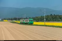 BFS-Fotofahrt auf der BAM mit Be 4/4 14 und Bt 53 am 6. Mai 2018.<br>
Zwischen Tuilerie und Mauraz.