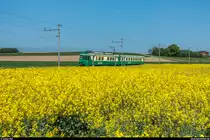 BFS-Fotofahrt auf der BAM mit Be 4/4 14 und Bt 53 am 6. Mai 2018.<br>
Zwischen Reverolle und Chardonney-Château auf dem Weg nach Morges.