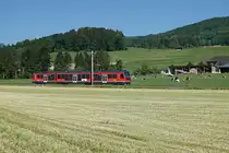 ASm: BAHN- ODER KUHBILD?
Obschon sich auf dieser Aufnahme, entstanden am 8. Mai 2018 bei Wiedlisbach, die weidenden Kühe in der Mehrzahl befinden, habe ich mich für ein Bahnbild entschieden.
STAR Be 4/8 111  JUPITER  auf der Fahrt nach Solothurn.
Foto: Walter Ruetsch 