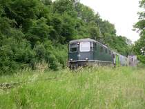 Diese Aktion hier hat Grasflecken verursacht! Bei Kilometer 70,8, nahe der Betriebsstelle Doppelschwand-Romoos ist am 26.05.2007 die gr�ne BLS-Re 4/4 420 511-8 (ex SBB 11105) mit ihrem RE nach Luzern unterwegs.  